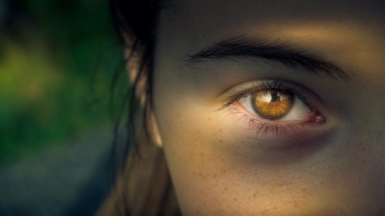 oog